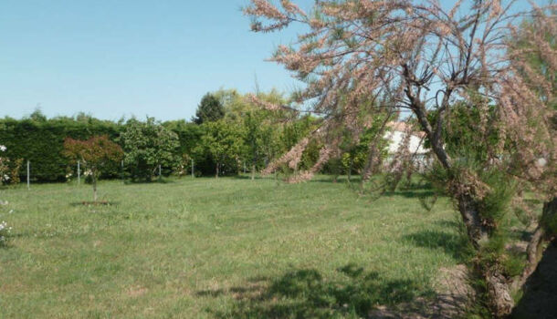 Terrain  à vendre Dolus-d'Oléron 17550