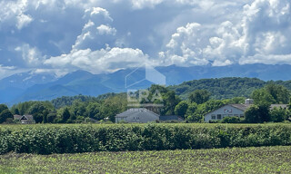 Photo N° 7