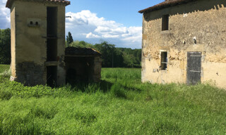Photo N° 4