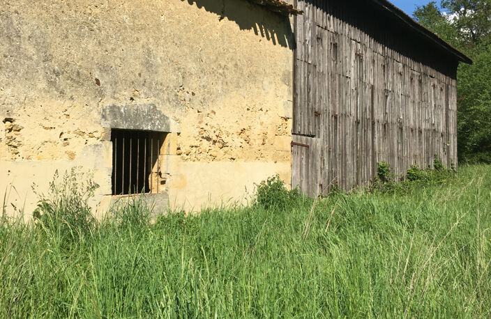 CORPS DE FERME A RENOVER plus de 6HA - Entre Bazas et Langon — photo 5