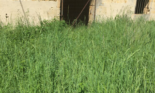 Photo N° 6