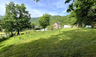 Photo N° 3