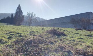 Photo N° 2