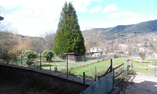 Photo N° 5