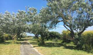 Maison 30 Pièces 100 m² à vendre à Groix (56590)