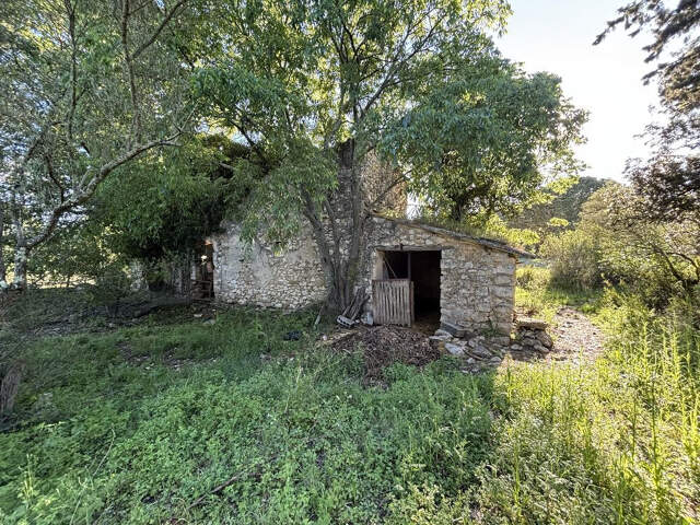 Terrain Agricole de 16000m2 avec un MAS à Rénover — photo du bien