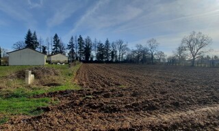 Photo N° 4