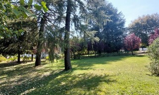 Photo N° 5