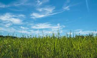 Terrain  875 m² à vendre à Arradon (56610)