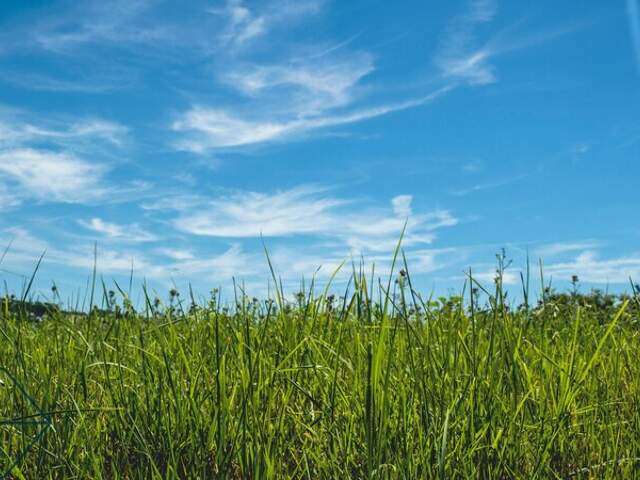 Terrain constructible — photo du bien