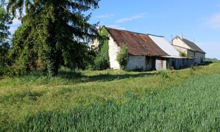 Photo N° 9