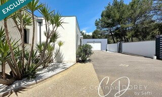 Photo N° 3