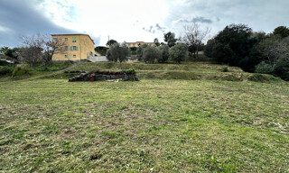 Photo N° 5