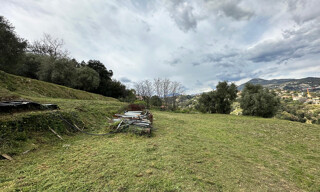 Photo N° 6