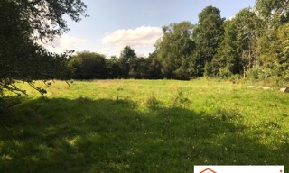 Terrain  7096 m² à vendre à Mézilles (89130)