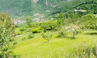 Photo N° 2