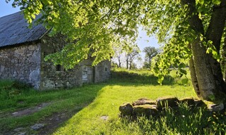 Photo N° 3