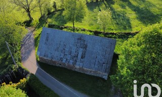 Photo N° 6