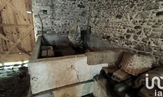Photo N° 6
