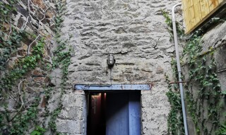Photo N° 4