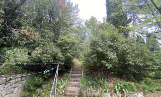 Photo N° 4