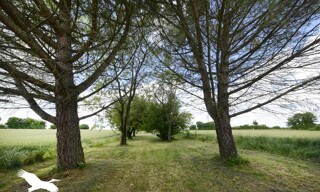 Photo N° 5