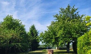 Photo N° 3
