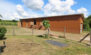 Photo N° 3