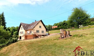 Photo N° 4