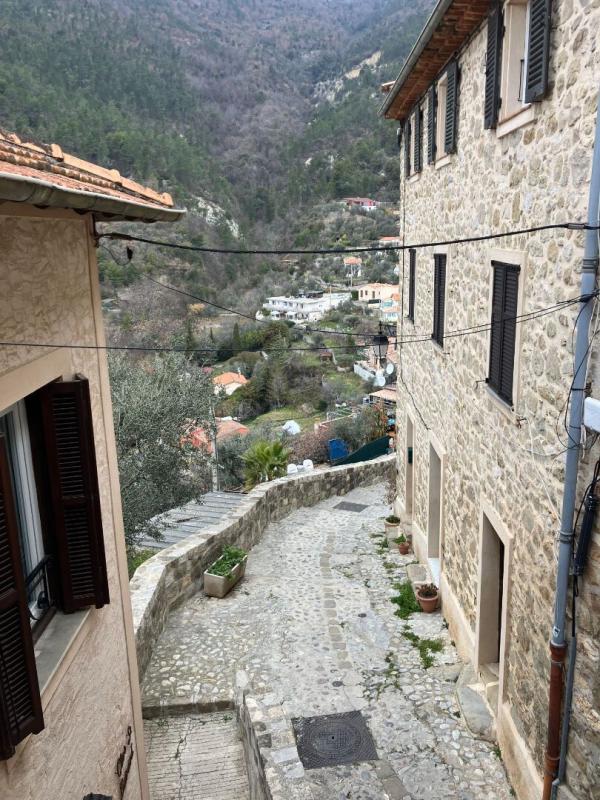 Photo T1 de 1 pièce Coaraze