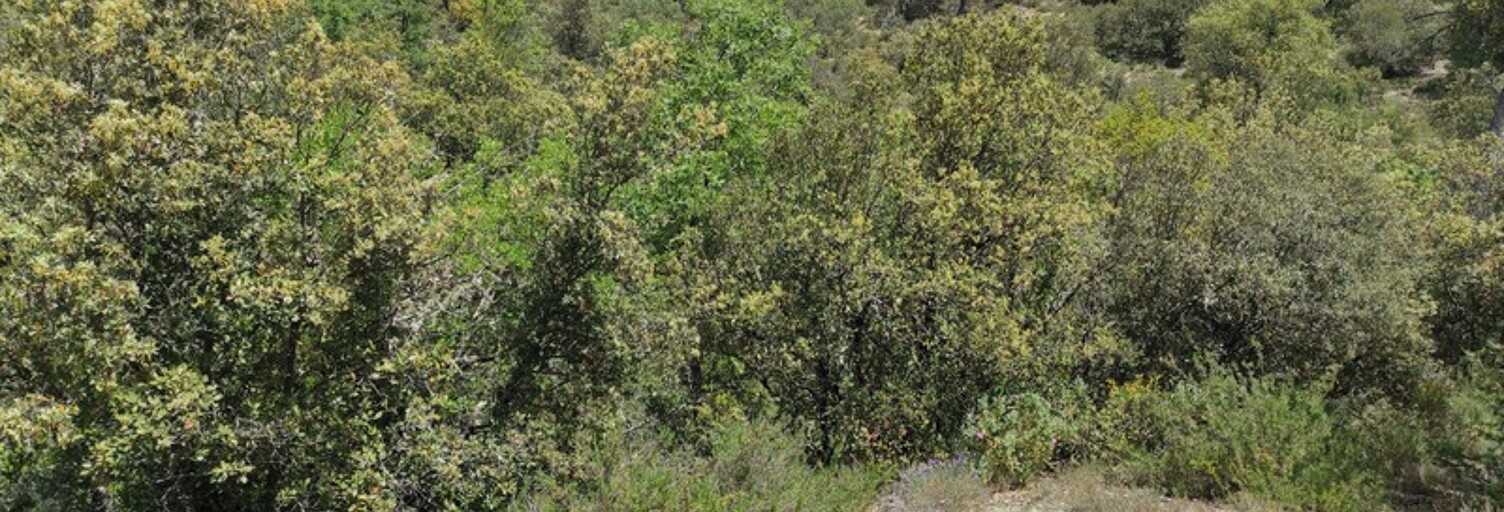 Maison  19030 m² à vendre à Varages (83670)