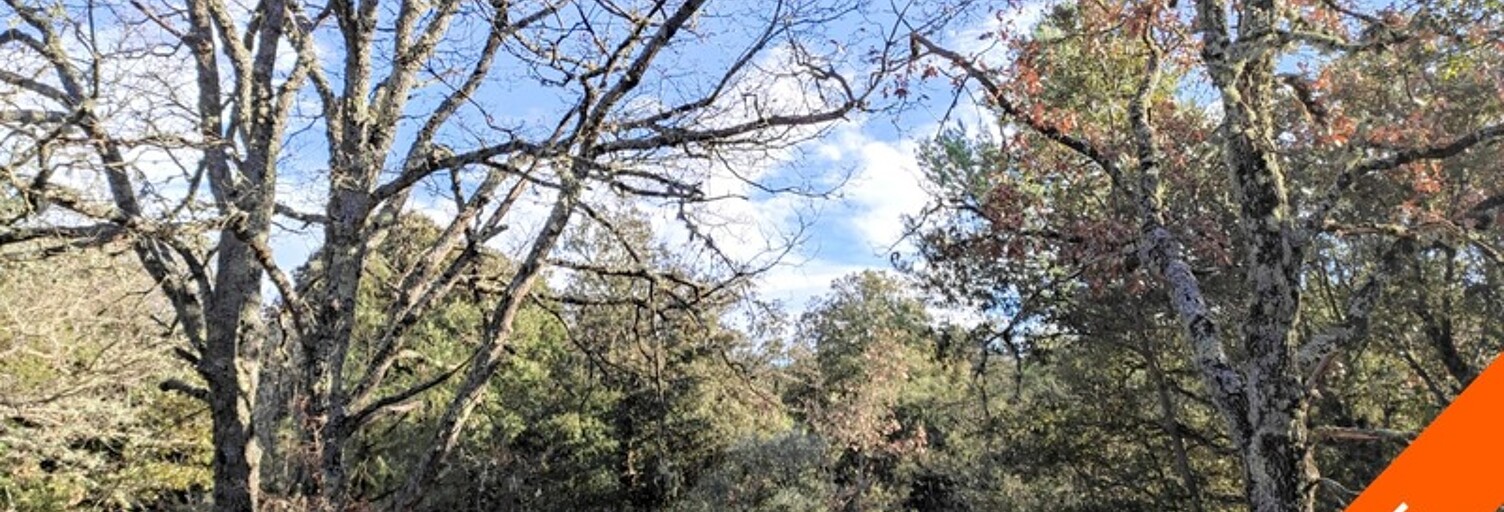 Maison  7945 m² à vendre à Tavernes (83670)