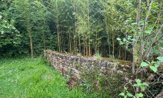 Photo N° 4