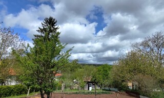 Photo N° 9