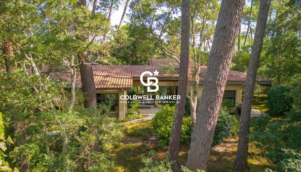 Villa / Maison 4 pièces  à vendre Hossegor 40150