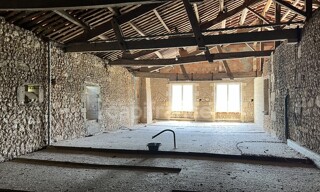 Photo N° 15