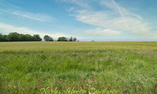Photo N° 3