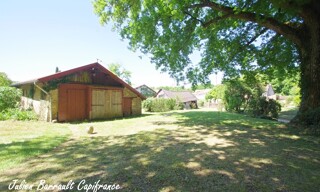 Photo N° 6