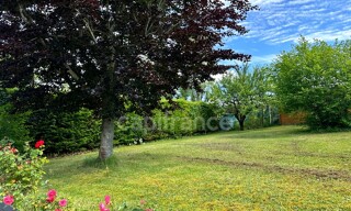 Photo N° 4