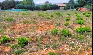 Terrain  993 m² à vendre à Puisserguier (34620)