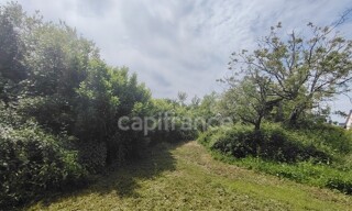 Photo N° 4
