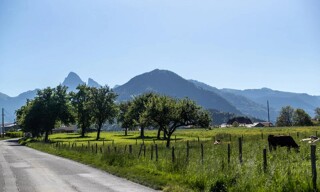 Photo N° 2