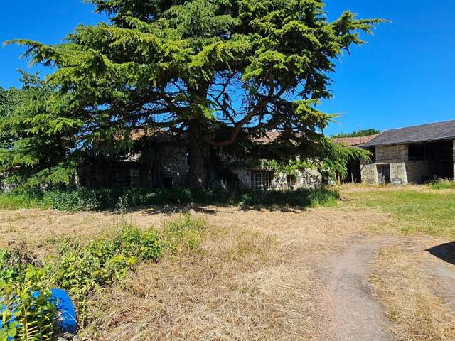 Longère en pierre À Vendre — photo du bien