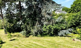 Photo N° 4