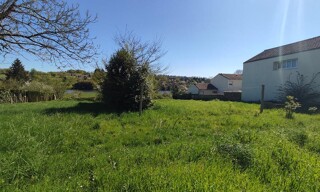 Photo N° 4