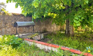 Photo N° 4