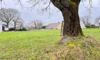 Terrain  667 m² à vendre à Conquereuil (44290)