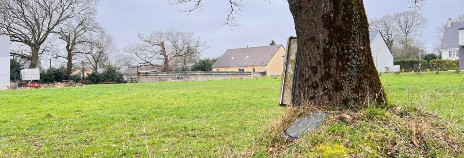 Terrain  667 m² à vendre à Conquereuil (44290)