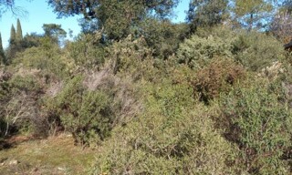 Photo N° 4