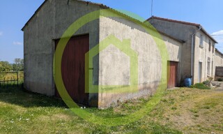 Photo N° 14